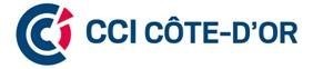CCI21